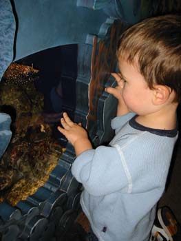 041211_IMG_5398